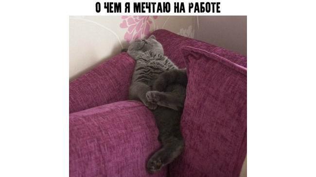 А какие у вас мечты? 😉