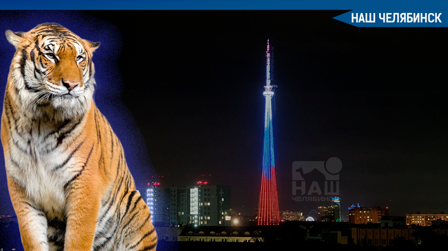 🐅 «Полосатая» пятница. ✨ Челябинская телебашня в честь Дня тигра "оденется" в тигровый окрас на несколько часов.