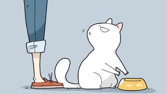 И так каждый вечер 😄