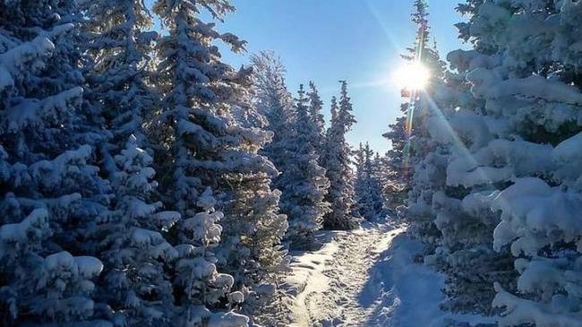 🏔 Морозное Уральское утро ❄ 