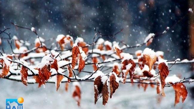 ❄ Зима подкралась. Снегопады и похолодание идут в Челябинскую область