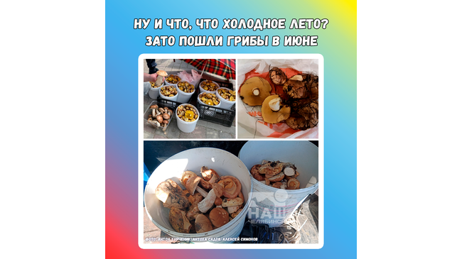 🌧 Ну и что, что на Южном Урале лето холодное и дожди... 🍄 Зато пошли грибы в июне 😁 А вы уже открыли сезон "тихой охоты"?