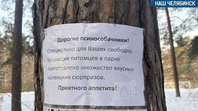 😨 В челябинском парке раскидали отраву для собак?