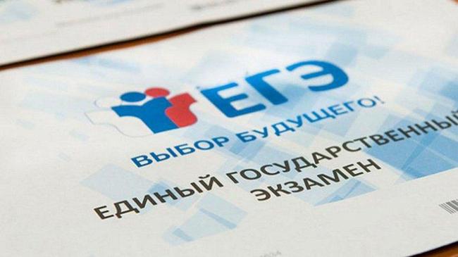 Девять человек были удалены с ЕГЭ в Челябинской области