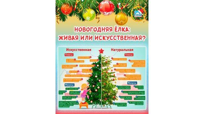 🎄 Новогодняя ёлка: живая или искусственная? 