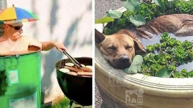 🔥 В среду на Южный Урал вернется летний зной