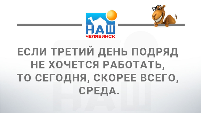 О среде: