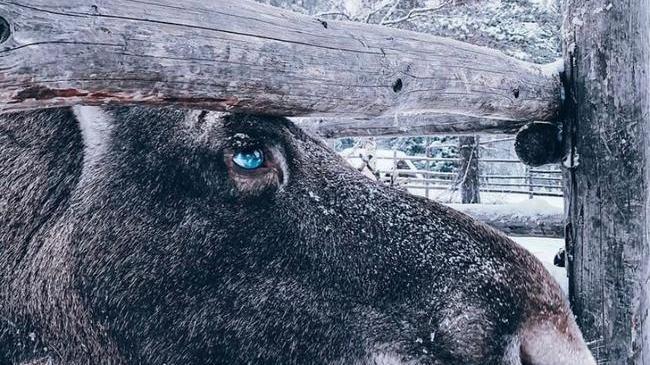 🦌 Национальный парк Зюраткуль