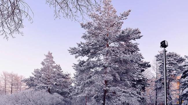 ❄🎄Немного зимней белоснежной красоты! 💙 А еще говорят, что в Челябинске белого снега не бывает... 😎