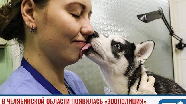 ⚡ В Челябинской области появилась «зоополиция» 🐈