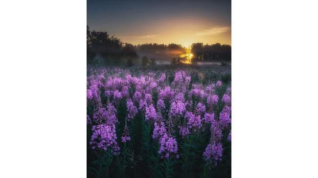 Доброе утро, Челябинск 🌇📸 На фото туманный рассвет возле озера Касарги 