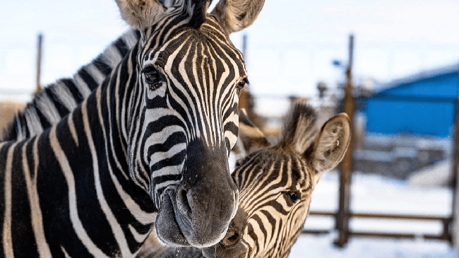 Доброе утро, челябинцы! ☕
