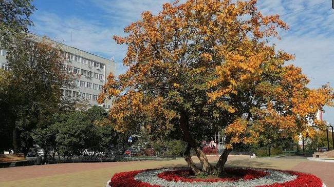 В Челябинской области продолжается бабе лето ☺ На улице тепло и солнечно 😊 Идеальная осень 🍂🍁🍃 