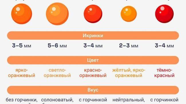 🐟 Какую икру выбрать — советы Роспотребнадзора: