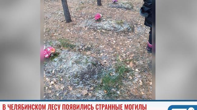 😧 В челябинском лесу появились странные могилы 
