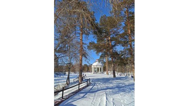 Зимний парк Гагарина ❄