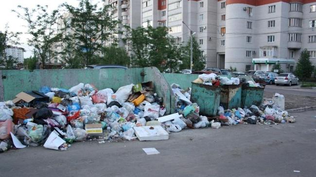 В Челябинске из дворов стали исчезать мусорные баки