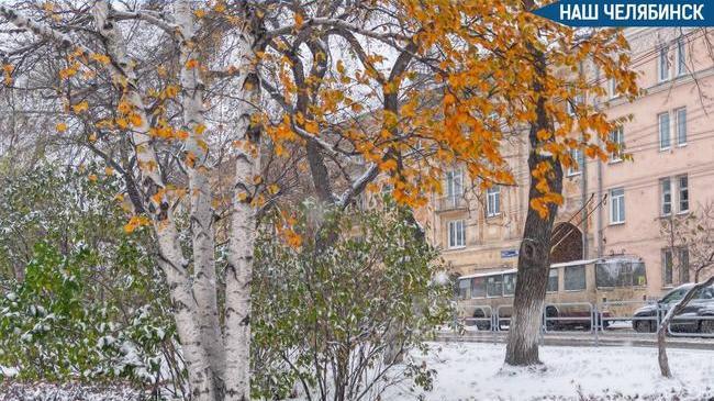❄️ Ноябрь в Челябинске будет теплее нормы