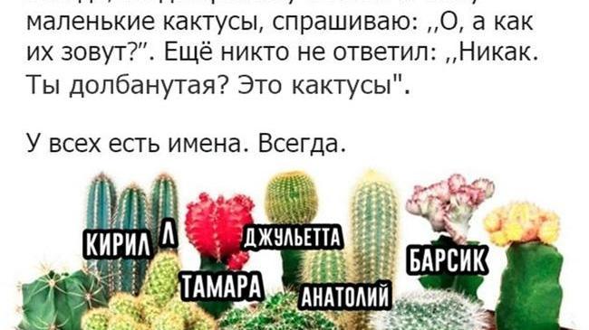 Kaктyc Oлeг ecть в кaждoй пopядoчной ceмье 😄