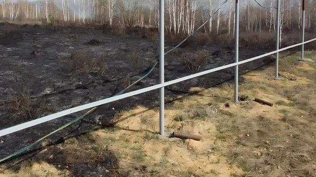 🔥 Челябинец заплатит более 600 тысяч рублей за лесной пожар