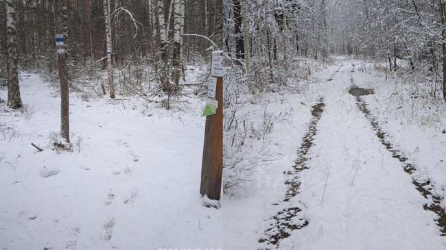 ❄️ В Челябинской области установился снежный покров