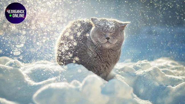 ❄ Начало весны в Челябинске будет снежным