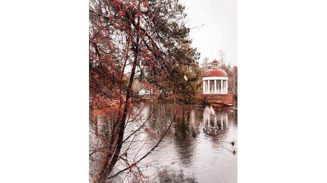 Парк Гагарина 🍂❄
