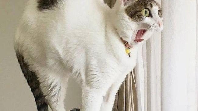 Это я в панике наблюдаю за тем, как быстро пролетает лето: