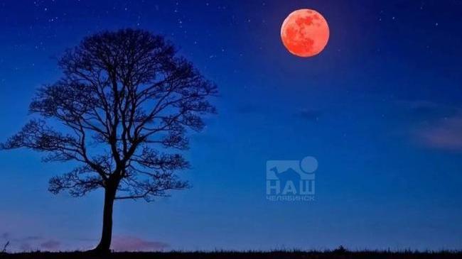 🌕 «Клубничная» Луна появится в небе над Челябинском