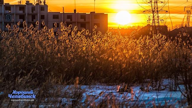 ☀Доброе утро, друзья! С каким настроением вы встречаете новый день?