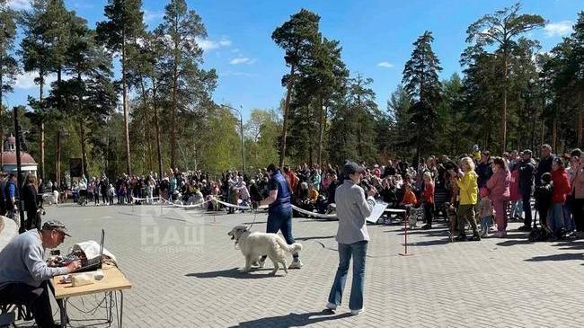 🐕 Большой парад собак прошел в Челябинске 