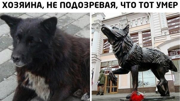 😥 Пса по кличке Беляш местные жители называли «челябинский Хатико» или «Хатико с ЧМЗ». И вот почему.. 