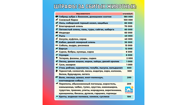 ⚠ Какой штраф за сбитое животное: прайс-лист с ценами. ❓ Сколько придется заплатить за ДТП