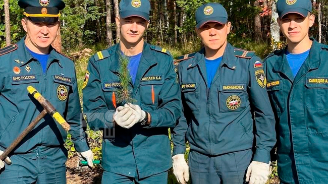 🌲Сотрудники МЧС посадили молодые сосны в Челябинском городском бору 
