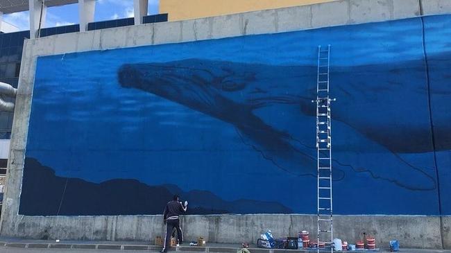 В Челябинске появится граффити кита в натуральную величину
