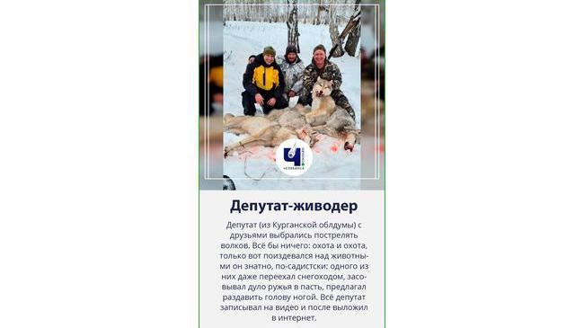 🤬 Депутат раздавил волка снегоходом и издевался над раненным животным 