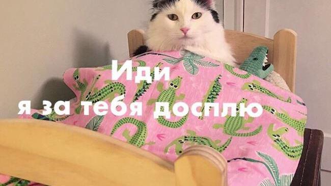 Отдыхаете ли вы в новогодние праздники?😎