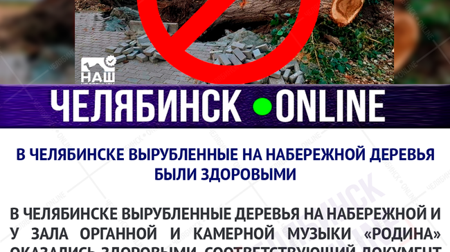 😦 В Челябинске вырубленные на набережной деревья были здоровыми
