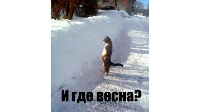 С первым днем весны! 🌷