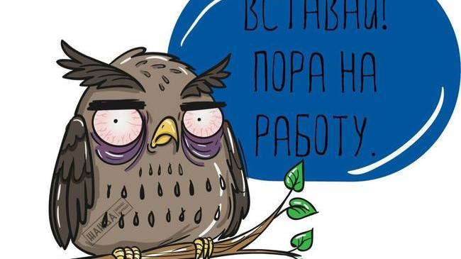 Вставай, сова! Понедельник пришел! 