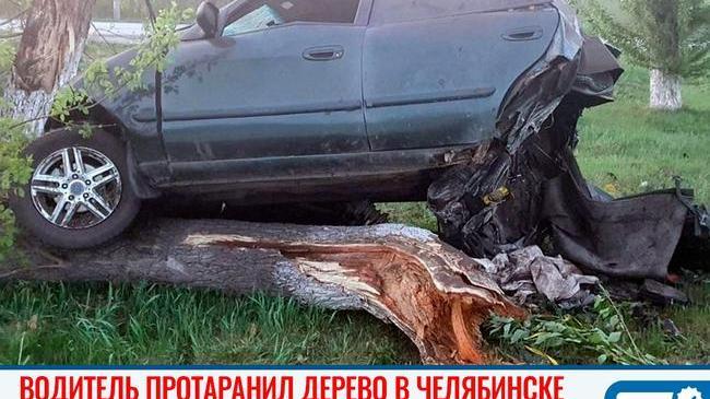 ⚠ ДТП в Челябинске. Водитель протаранил дерево 