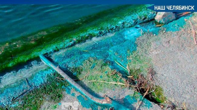 ❗️Накануне мы писали о странной бирюзовой субстанции на озере Смолино.