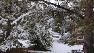 ❄️ Жители Челябинской области делятся кадрами снежных улиц 