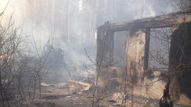 Ищут, кто начал: пожар, спаливший в Челябинской области 23 садовых участка, вылился в уголовное дело