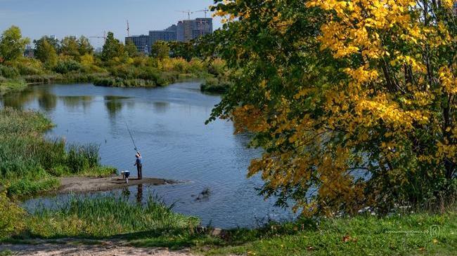 Доброе утро, друзья ☀️