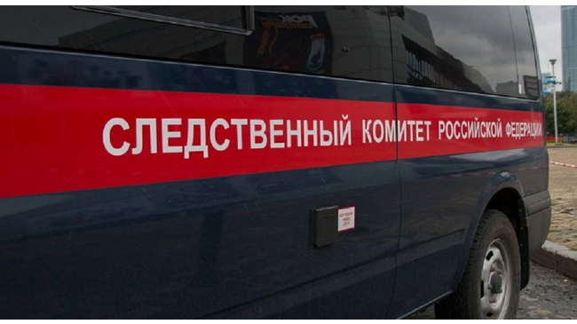 На Южном Урале 5-летняя девочка травмировалась на занятии в цирковой студии