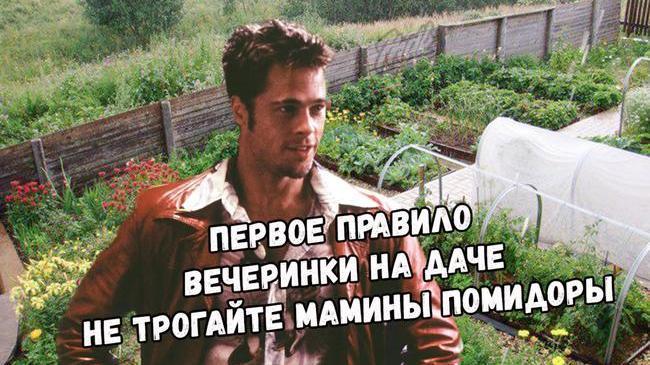 Золотое правило каждой вечеринки на даче 😄