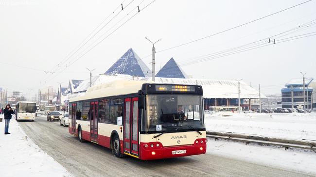 Тефтелев решил избавить Челябинск от автобусов‍