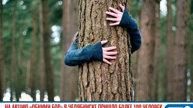 🤝🏻🌳 На акцию «Обними бор» в Челябинске пришло более ста человек 