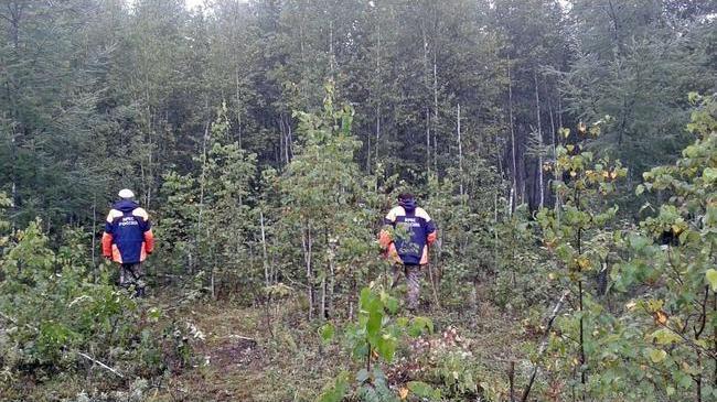 Пропавшая в лесу на Урале женщина с ребенком вышла на связь